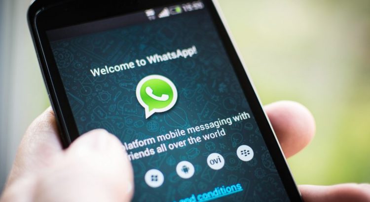 domine o whatsapp