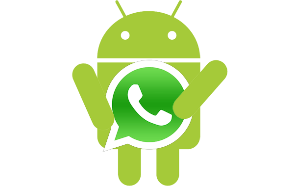 Beta WhatsApp
