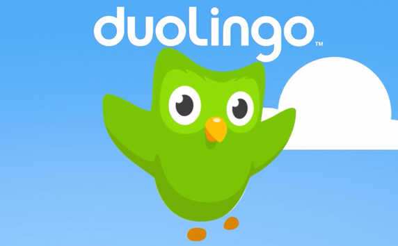 duolingo owl