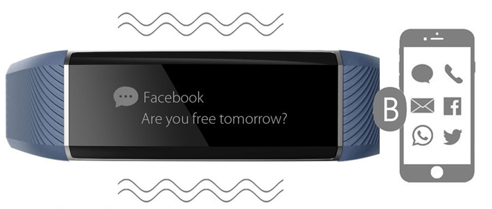 notificacao zeband