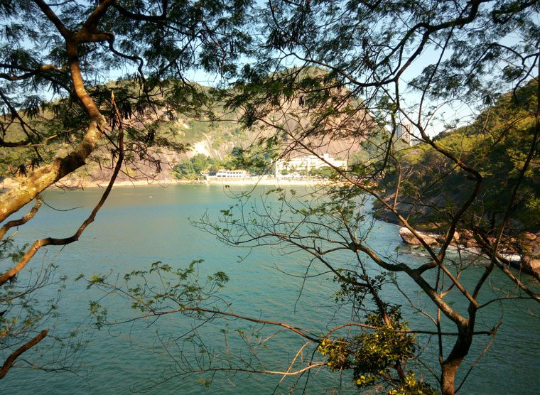 Foto feita com o Ulefone Power 2 - Mobizoo