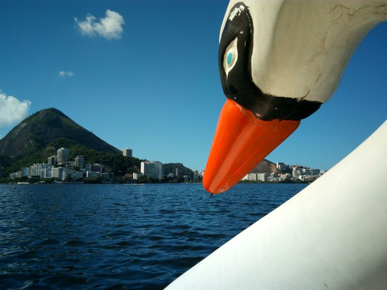 Foto feita com o Ulefone Power 2 - Mobizoo