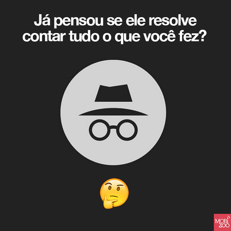 Navegação secreta - Mobizoo