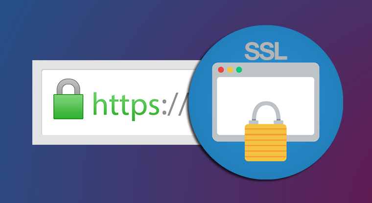 Certificado SSL: o que é, e porque seu site precisa dele - Mobizoo