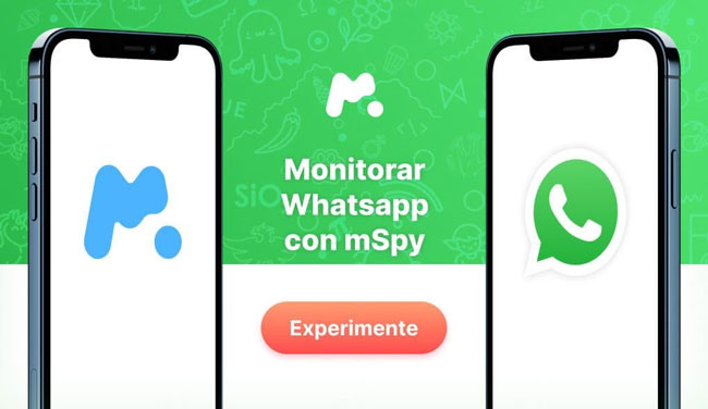 Como monitorar conversas do WhatsApp