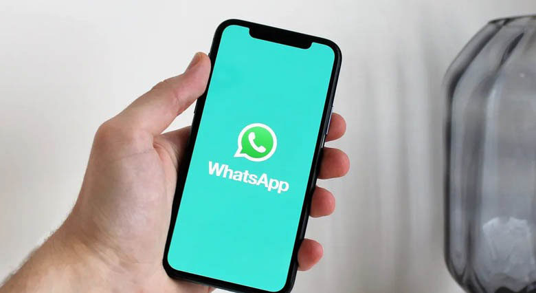 Como transferir o WhatsApp do Android para o iPhone - Mobizoo